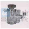 FTZB03,汽車(chē)動(dòng)力轉(zhuǎn)向油泵