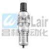 NFR-100,NFR-200,NFR-300,NFR-400,NFR-450,NFR-500,調(diào)壓過(guò)濾器