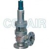 A40Y-64C，A40Y-64I，A40Y-100C，A40Y-100I，帶封閉散熱器彈簧全啟式安全閥