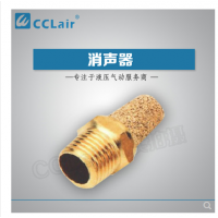 寶塔型PTS-G1/8，BSL-G1/8，PTS-G1/4，BSL-G1/4，PTS-G3/8，BSL-G3/8，PTS-G1/2，BSL-G1/2，PTS-G3/4，BSL-G3/4，PTS-G1，BSL-G1，PTS-G11/4，BSL-G11/4，PTS-G11/2，BSL-G11/2，PTS-G2，BSL-G2,排氣消音器