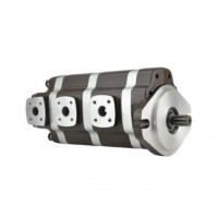 G5-25-20-12-08-1E13S-20L，G5-12-8-6-AH15S-20-L，G5-8-8-10-1E13S-20R,G5-25-10-10-1E13S-20R，多聯(lián)高壓齒輪泵